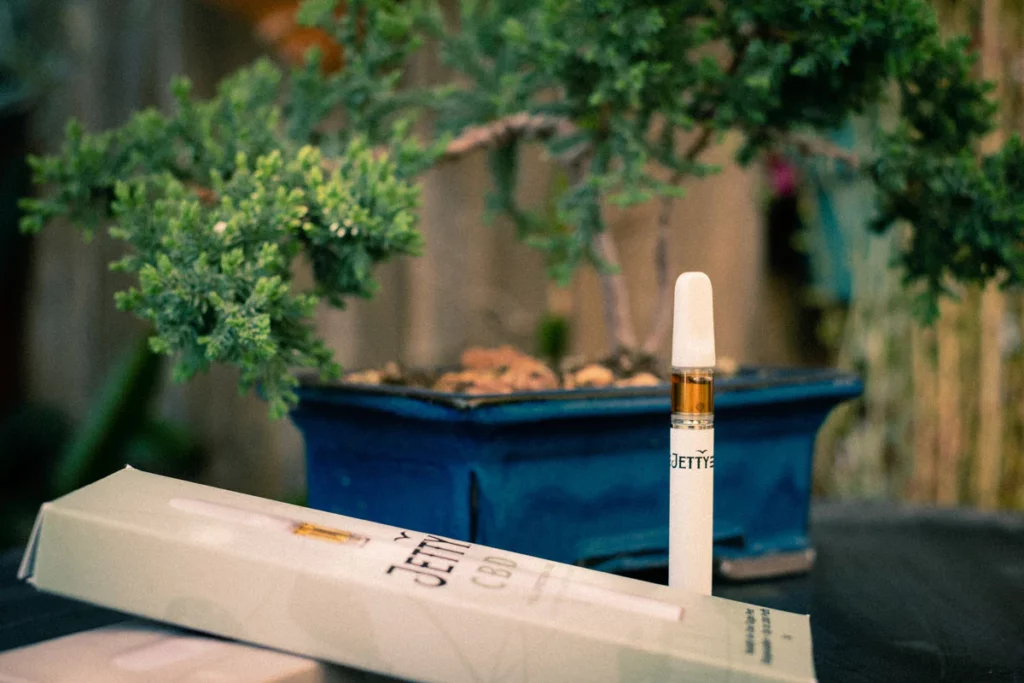 A Jetty Extracts CBD cartridge sits by it's packaging in front of a peaceful bonsai tree.