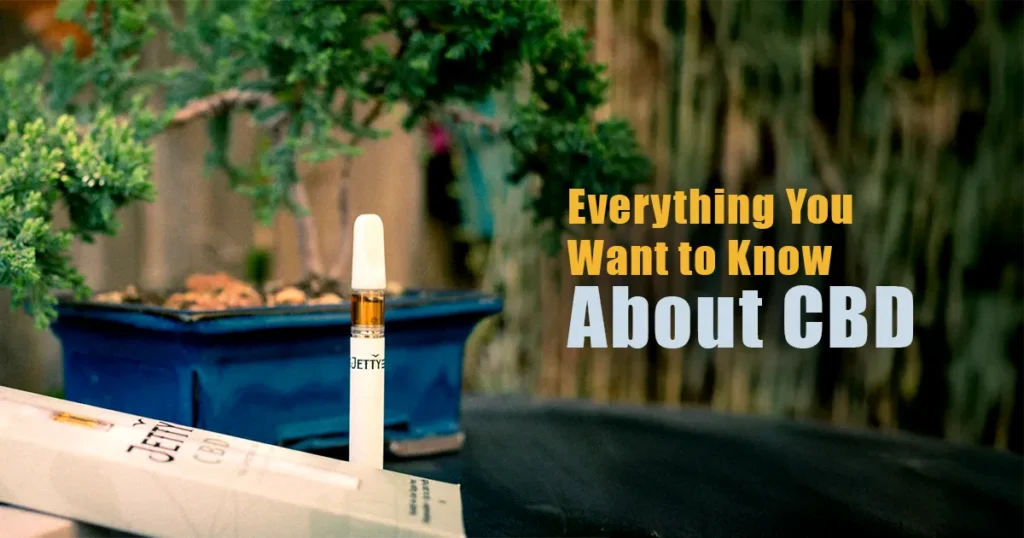 Jetty CBD vape cartridge standing upright beside its packaging on a table, with a potted plant in the background, alongside the text “Everything You Want to Know About CBD.”