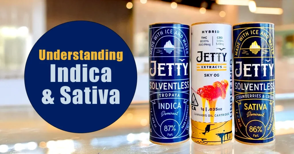 Three Jetty vape cartridge tubes labeled Indica, Hybrid, and Sativa displayed on a reflective surface, alongside a blue circular graphic reading “Understanding Indica & Sativa.”