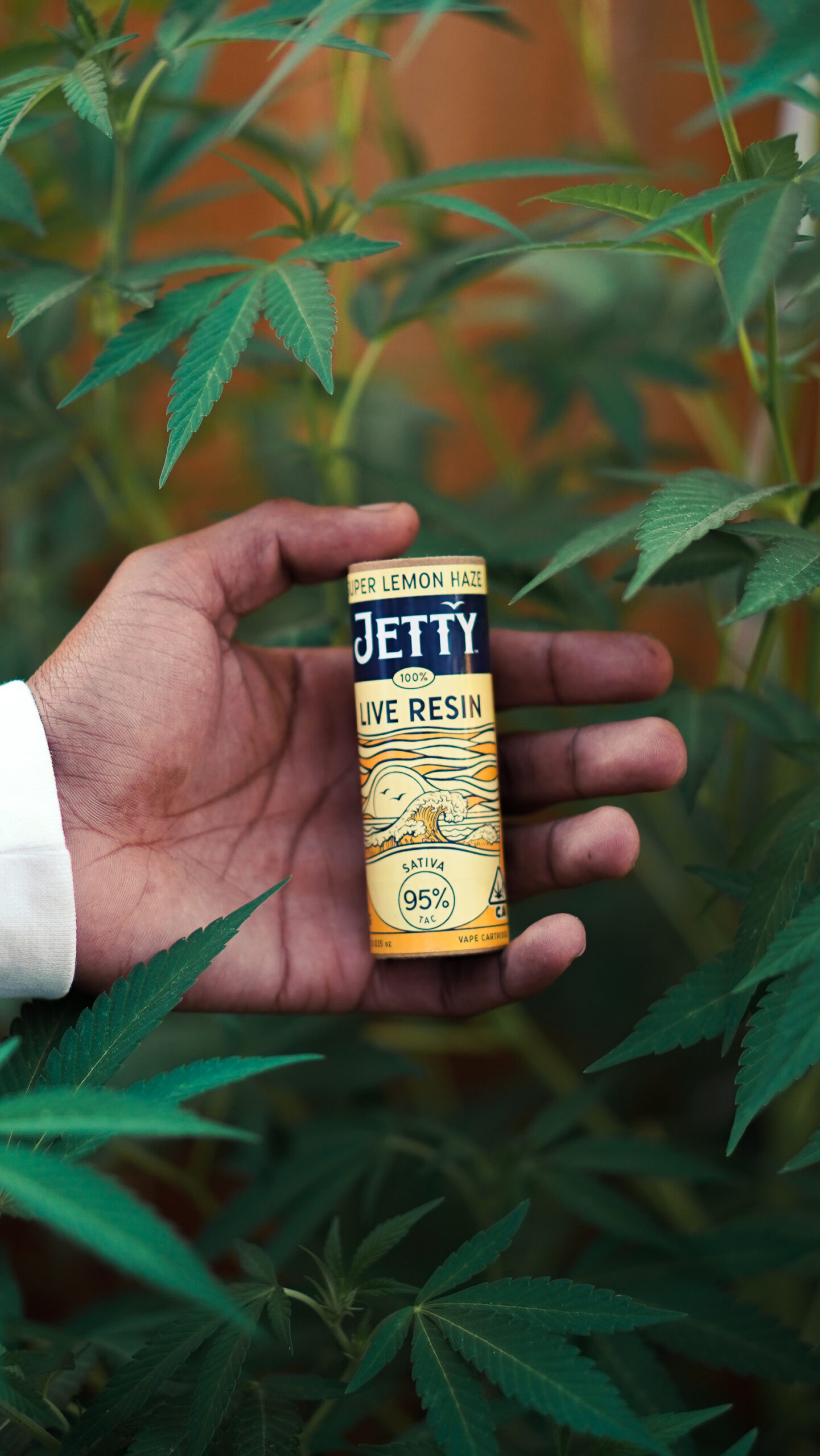 Live Resin - Solventless, Live Rosin, Vape Shop | Jetty Extracts
