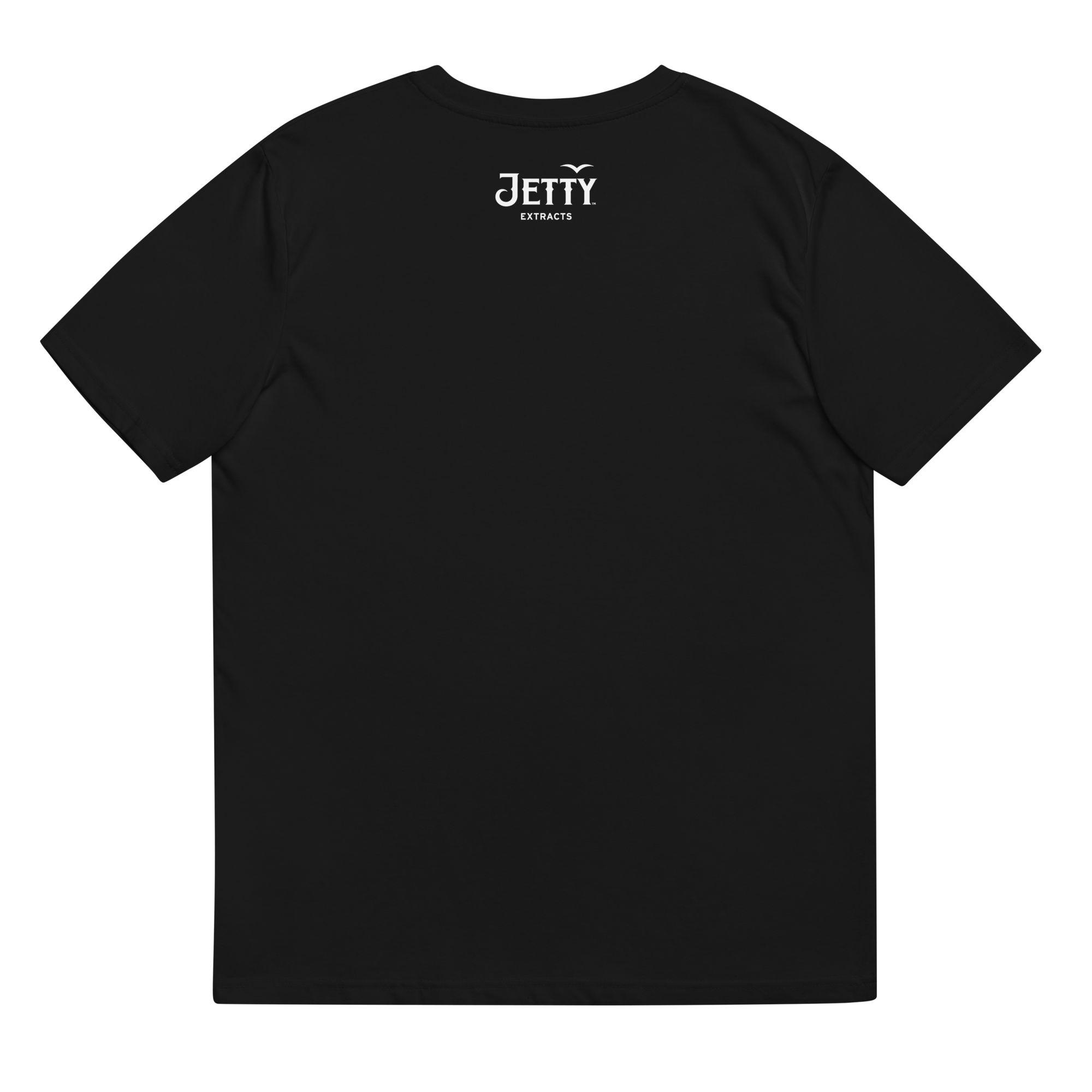 unisex-organic-ribbed-neck-t-shirt-black-back-684b9a97d7e50