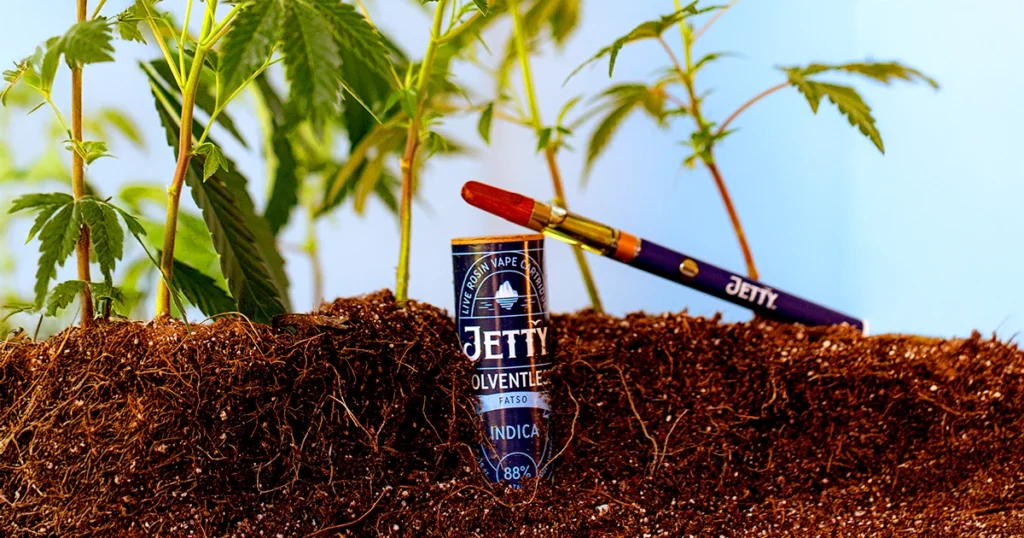 Jetty Solventless Live Rosin vape cartridge and battery displayed in soil beneath young cannabis plants, with product label reading “Jetty Solventless Fatso Indica 88%” under natural lighting against a blue background.