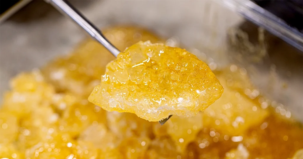Close-up of golden live resin concentrate held by metal dab tool, showing a crystalline, glass-like texture with a glossy surface under bright lighting in a cannabis extraction setting.